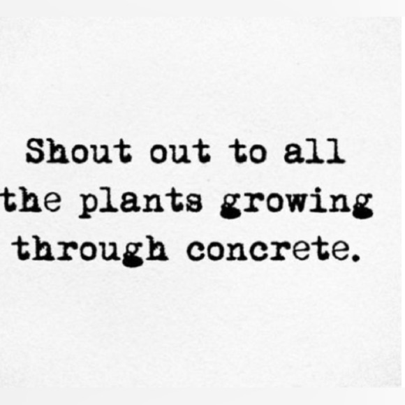 ZIA VIA ~ Women’s fully lined spaghetti strap dress w/sequins and beads size 12 - Picture 8 of 8